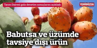 Babutsa ve üzümde tavsiye dışı ürün