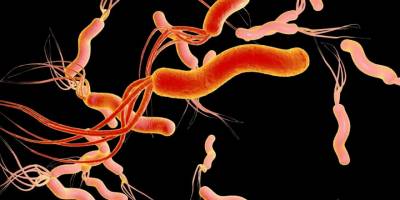 YDÜ, mide kanserine sebep olan Helikobakter pilori bakterisinin tespiti için geliştirdiği biyosensörü patentledi