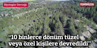 “10 binlerce dönüm tüzel veya özel kişilere devredildi”