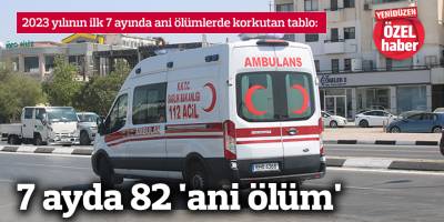 7 ayda 82 'ani ölüm'