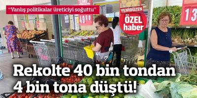 “Yanlış politikalar üreticiyi soğuttu”