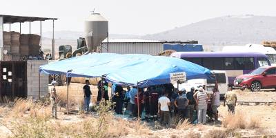 Hristodulidis Pile’deki gelişmeler konusunu Dimitriu’yla görüştü