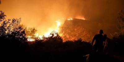 Çanakkale'de orman yangını