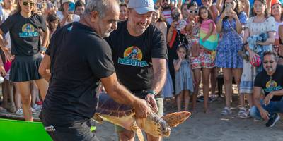 Meritta, 5 yılda 87 yaralı kaplumbağayı sağlığına kavuşturdu