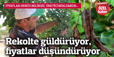 Rekolte güldürüyor, fiyatlar düşündürüyor
