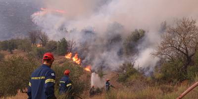 Yunanistan son 20 yılın en büyük orman yangınını yaşıyor