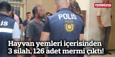 “Silahları kime getirdiği araştırılacak”