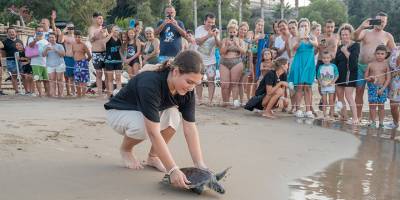 Lapidos, doğal yaşam alanına uğurlandı