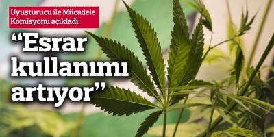 ESPAD 2023 araştırması: Kuzeyde esrar kullanımı artıyor