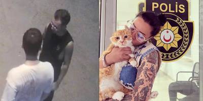 Girne'de kedi hırsızlığından 2 tutuklu