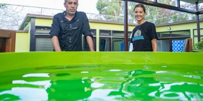 Haluk Levent Meritta’ya destek vermeye devam ediyor