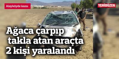 Alayköy yolunda ağaca çarpıp takla atan araçta 2 kişi yaralandı