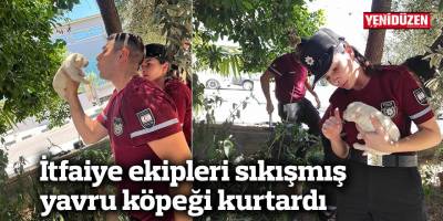 İtfaiye ekipleri sıkışmış yavru köpeği kurtardı