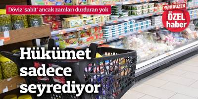 Döviz 'sabit' ancak zamları durduran yok