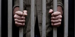 Polis köpeğini öldürmeye 26 ay hapis