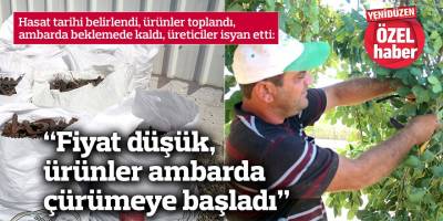 “Fiyat düşük, ürünler ambarda çürümeye başladı”