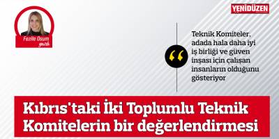 Kıbrıs'taki İki Toplumlu Teknik Komitelerin Bir Değerlendirmesi