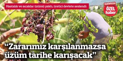 “Zararımız karşılanmazsa üzüm tarihe karışacak”