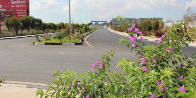 Ercan Havalimanı’nda peyzaj çalışmalarında Kıbrıs'a özgü bitkiler ekildi