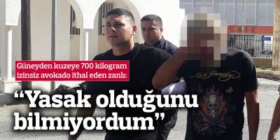 Güneyden kuzeye 700 KG izinsiz avokado ithal eden zanlı: “Yasak olduğunu bilmiyordum”