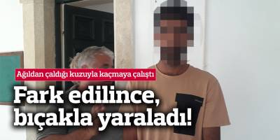 Ağıldan çaldığı kuzuyla kaçmaya çalıştı, fark edilince bıçakla yaraladı!