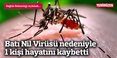 Batı Nil Virüsü nedeniyle 1 kişi hayatını kaybetti