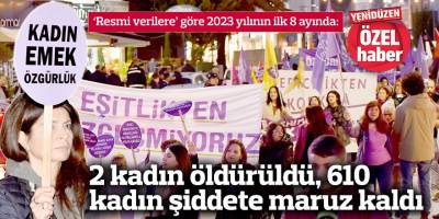 2 kadın öldürüldü, 610  kadın şiddete maruz kaldı