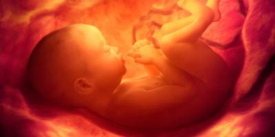 YDÜ, Türkiye Sağlık Enstitüleri Başkanlığı’ndan destek aldı