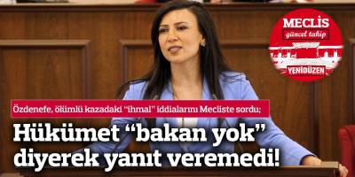 Özdenefe, ölümlü kazayla ilgili soru sordu, hükümet "bakan yok" cevabını verdi