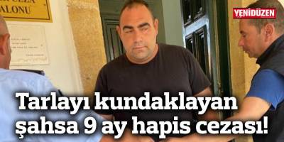 Tarlayı kundaklayan şahsa 9 ay hapis cezası!