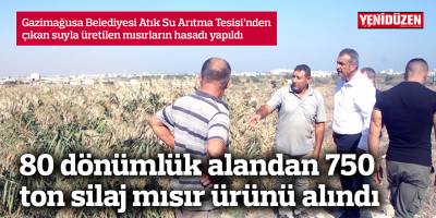 80 dönümlük alandan 750 ton silaj mısır ürünü alındı