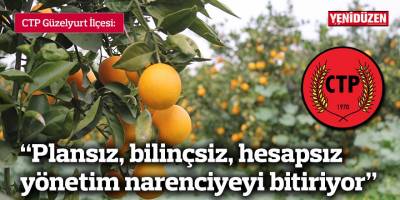 “Plansız, bilinçsiz, hesapsız yönetim narenciyeyi bitiriyor”