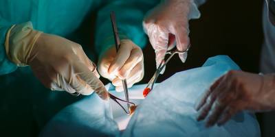 2011'den bu yana güneyde 290 böbrek nakli yapıldı