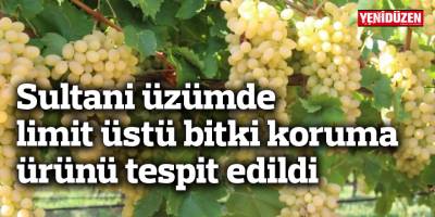 İthal 6 üründe, yerli 2 üründe limit üstü bitki koruma ürünü tespit edildi