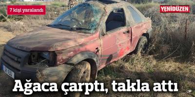 Ağaca çarptı, takla attı