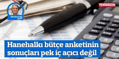 Hanehalkı bütçe anketinin sonuçları pek iç açıcı değil