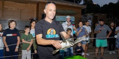 İki deniz kaplumbağası daha özgürlüğe uğurlandı