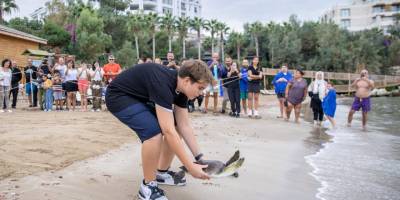 Deniz kaplumbağalarına olan duyarlılık arttı