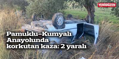 Pamuklu-Kumyalı Anayolunda korkutan kaza: 2 yaralı