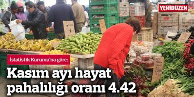 Kasım ayı hayat pahalılığı yüzde 4.42