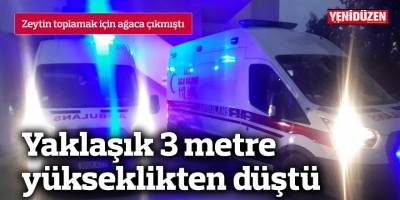 Zeytin toplamak için ağaca çıktı, 3 metre yükseklikten düştü