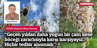 KEMA: "Tek etkili mücadele yöntemi havadan biyolojik larvasit uygulaması olacaktır"