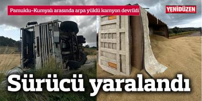 Pamuklu-Kumyalı arasında arpa yüklü kamyon devrildi
