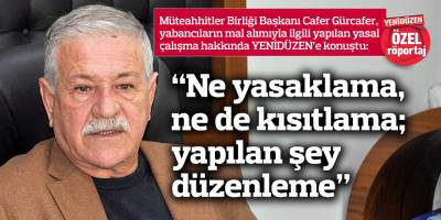 “Ne yasaklama, ne de kısıtlama; yapılan şey düzenleme”