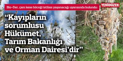 “Kayıpların sorumlusu Hükümet, Tarım Bakanlığı ve Orman Dairesi’dir”