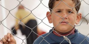 Mültecilerle ilgili düzenleme talebi