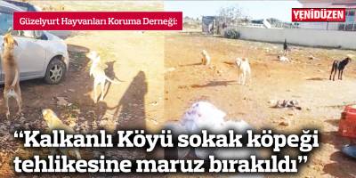 “Kalkanlı Köyü sokak köpeği tehlikesine maruz bırakıldı”