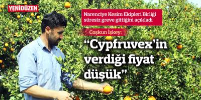 "Cypfruvex'in verdiği fiyat düşük"