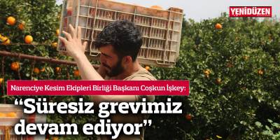 İşkey: "Süresiz grevimiz devam ediyor"