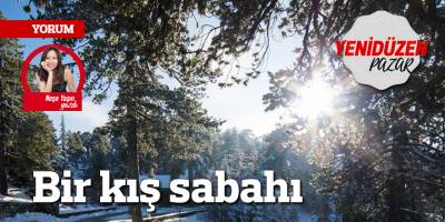 Bir kış sabahı